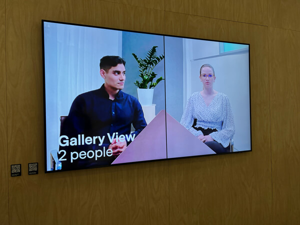 Gallery view capable conferencing cameras